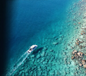 COASTAL SURVEYS